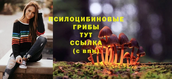 скорость mdpv Богданович