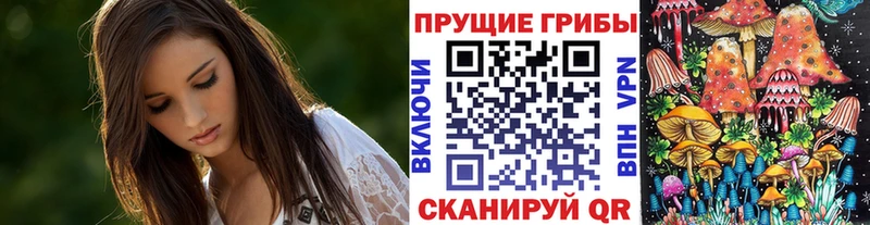 Псилоцибиновые грибы мицелий  как найти закладки  Нарьян-Мар 